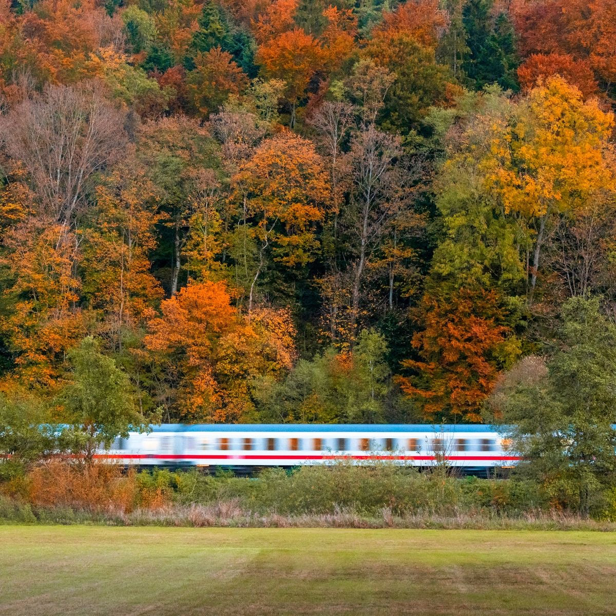 Rutas de Amtrack para disfrutar el otoño
